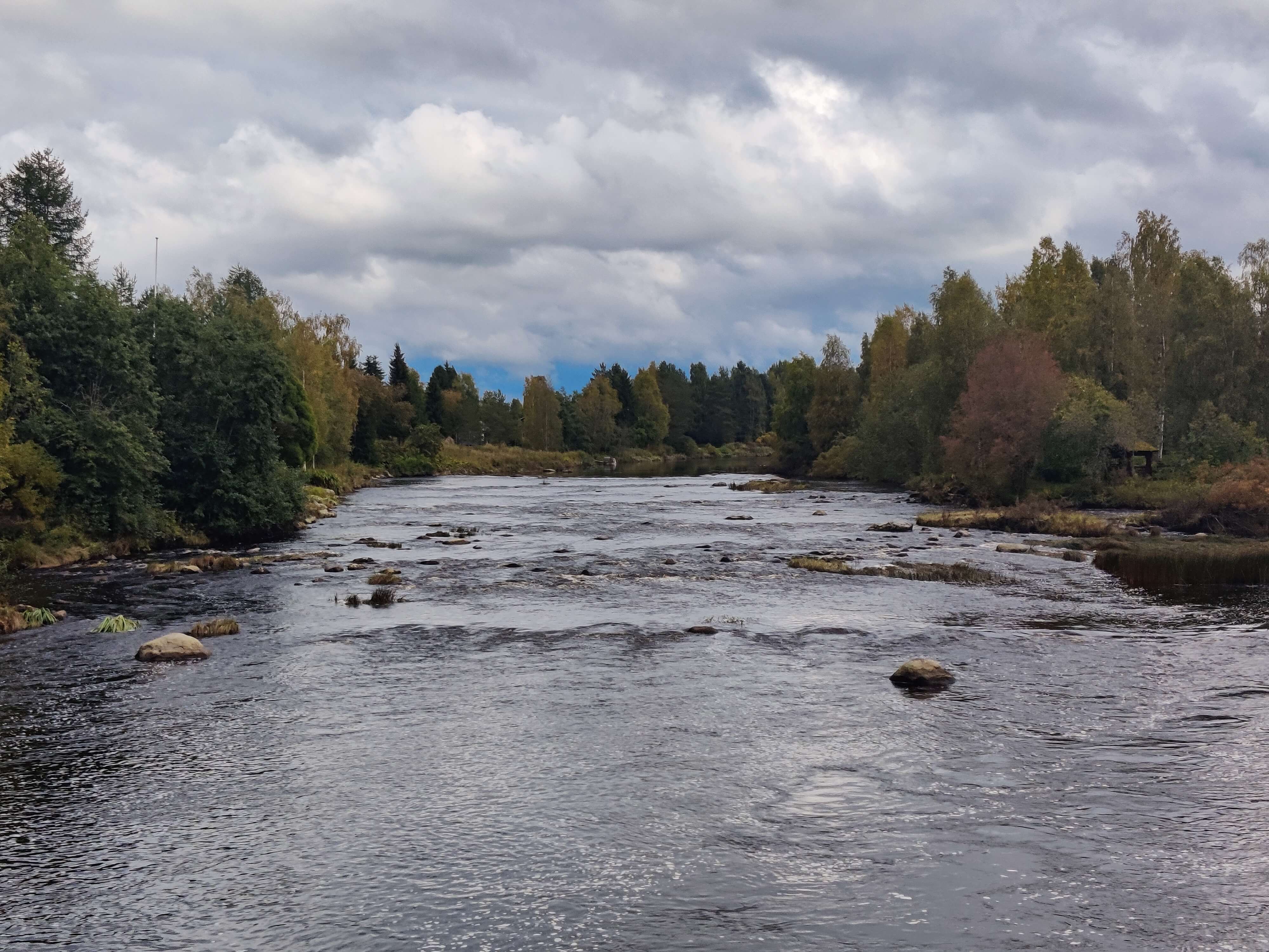 Mieluskoski30082026