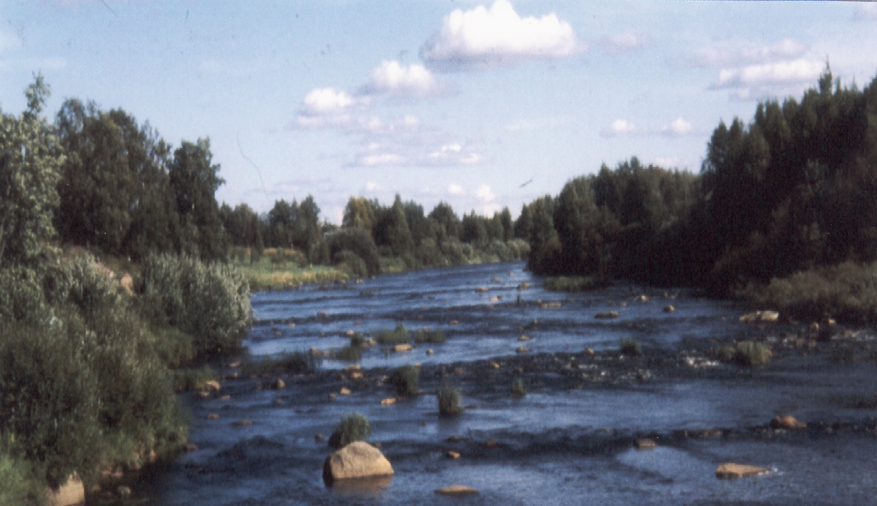 Mieluskoski